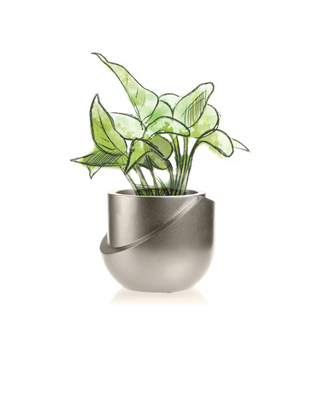 Donica Cut My Top Brass Poli 13 cm