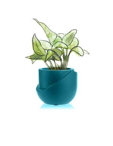 Donica Cut My Top Dark Turquoise Poli...