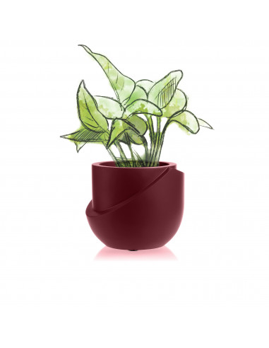 Donica Cut My Top Maroon Poli 13 cm