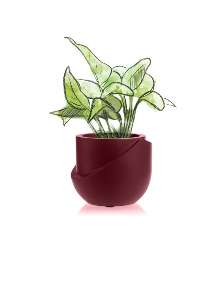 Donica Cut My Top Maroon Poli 13 cm