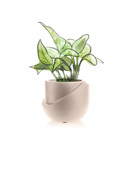 Donica Cut My Top Light Beige Poli 13 cm