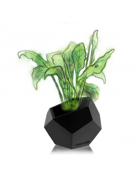 Donica Square Geometric Black Matt Poli 12 cm