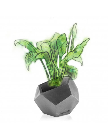 Donica Square Geometric Steel Poli 12 cm