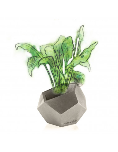 Donica Square Geometric Brass Poli 12 cm