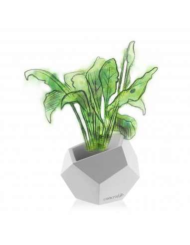 Donica Square Geometric White Poli 12 cm