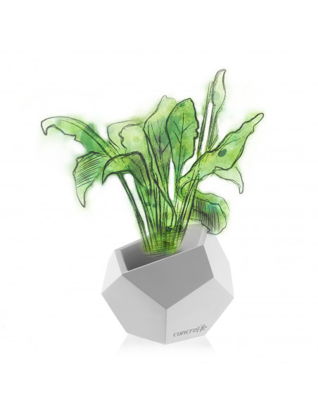 Donica Square Geometric White Poli 12 cm