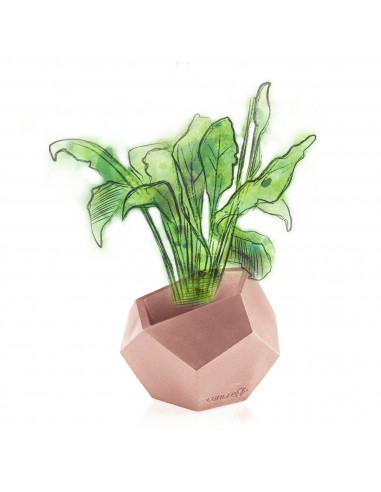 Donica Square Geometric Rose Gold...