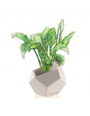 Donica Square Geometric Light Beige...