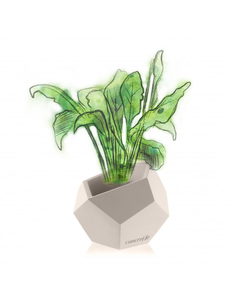 Donica Square Geometric Light Beige Poli 12 cm