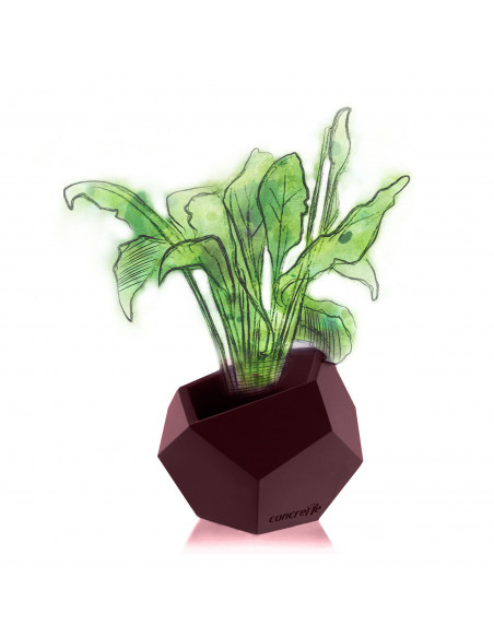 Donica Square Geometric Maroon Poli 12 cm