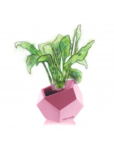 Donica Square Geometric Candy Pink...