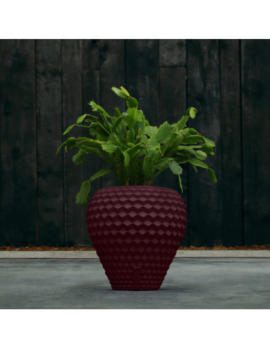 Donica Cone Maroon Poli 10 cm