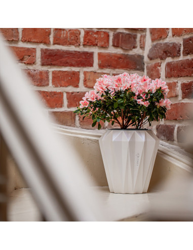 Donica Rack Black Matt Poli 13 cm