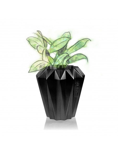 Donica Rack Black Metallic 9 cm