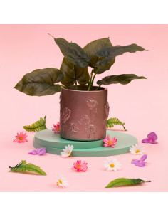 Donica Flower Deco Rose...