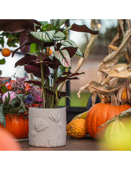 Donica Flower Deco Unpainted 13 cm