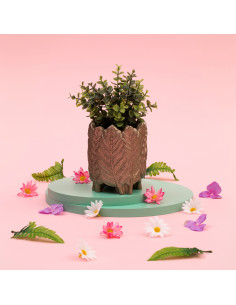 Donica Home of Nature Brass...