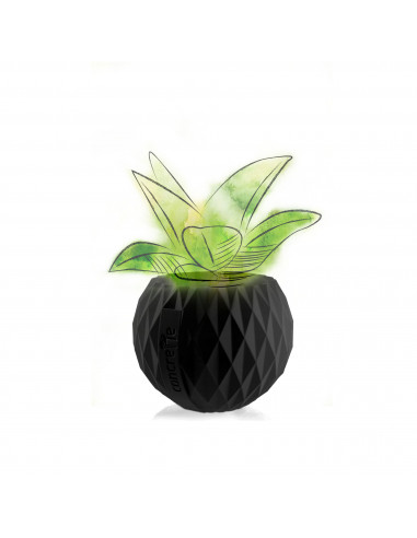 Donica Bauble Black Matt Poli 7,6 cm