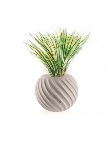 Donica Bauble Wave Light Beige Poli...