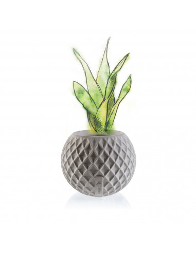 Donica Bauble Squares Unpainted 7,6 cm