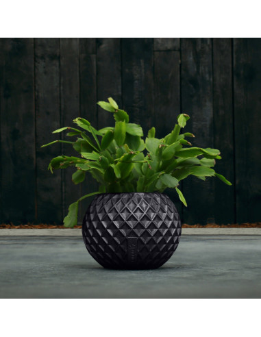 Donica Bauble Squares Black Metallic...