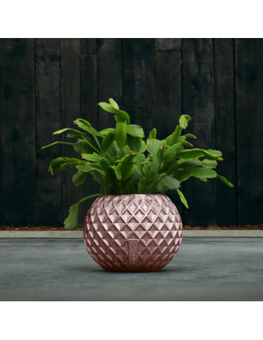 Donica Bauble Squares Rose Gold Poli...