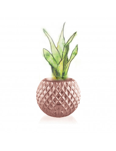 Donica Bauble Squares Rose Gold Poli...