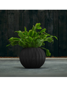 Donica Bauble Optic Black...