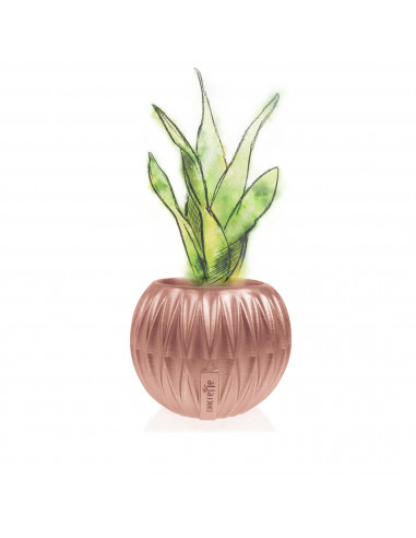 Donica Bauble Optic Rose Gold Poli...