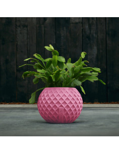 Donica Bauble Squares Candy...