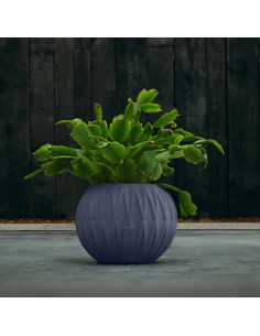 Donica Bauble Optic... 2