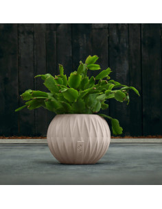 Donica Bauble Optic Light... 2