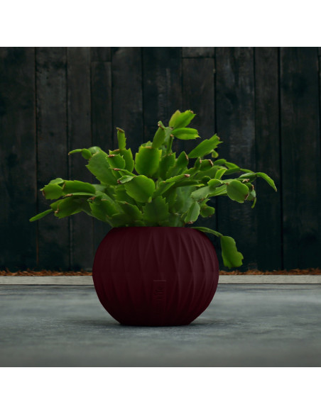 Donica Bauble Optic Maroon Poli 7,6 cm