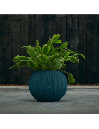 Donica Bauble Optic Dark Turquoise...