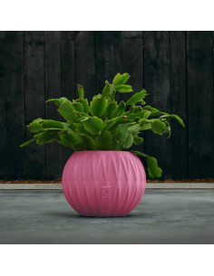 Donica Bauble Optic Candy...