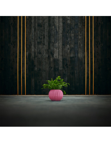 Donica Bauble Optic Candy Pink Poli...