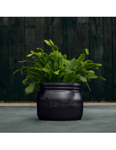 Donica Home Black Metallic...