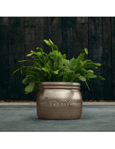 Donica Home Brass Poli 11 cm