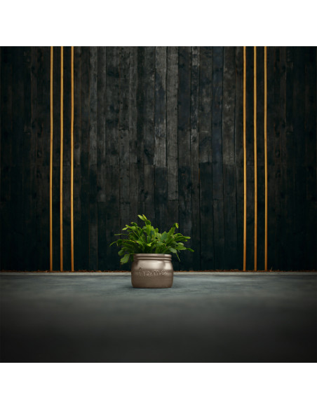 Donica Home Brass Poli 11 cm