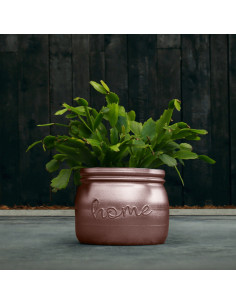 Donica Home Rose Gold Poli... 2