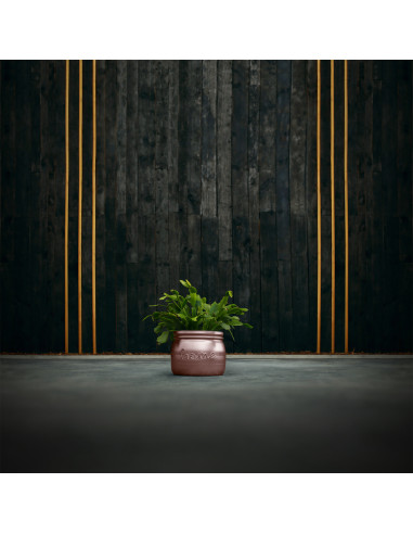 Donica Home Rose Gold Poli 11 cm