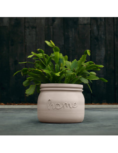 Donica Home Light Beige...