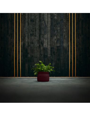 Donica Home Maroon Poli 11 cm