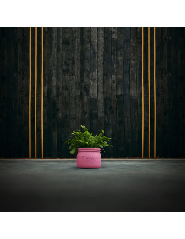 Donica Home Candy Pink Poli 11 cm