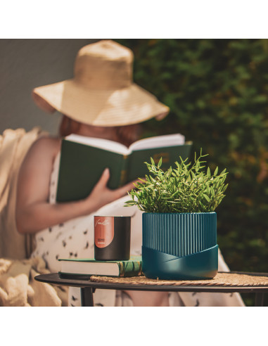 Donica Top Lines Black Metallic Poli...