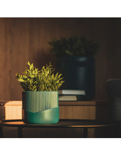 Donica Top Lines Dark...