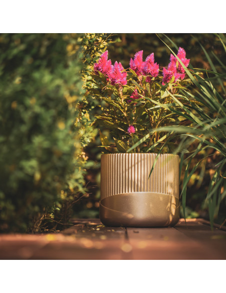 Donica Top Lines Brass Poli 18 cm