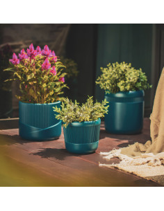 Donica Top Lines Dark...