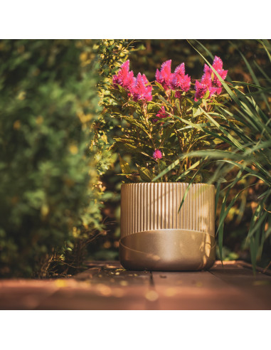 Donica Top Lines Silver Poli 18 cm