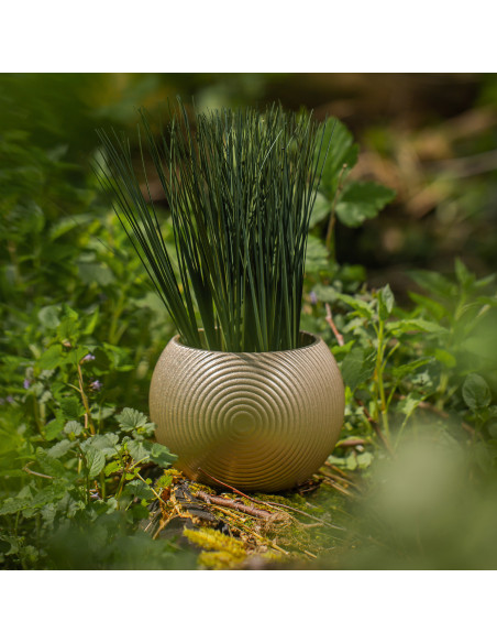 Donica Solid Lines Brass Poli 10 cm